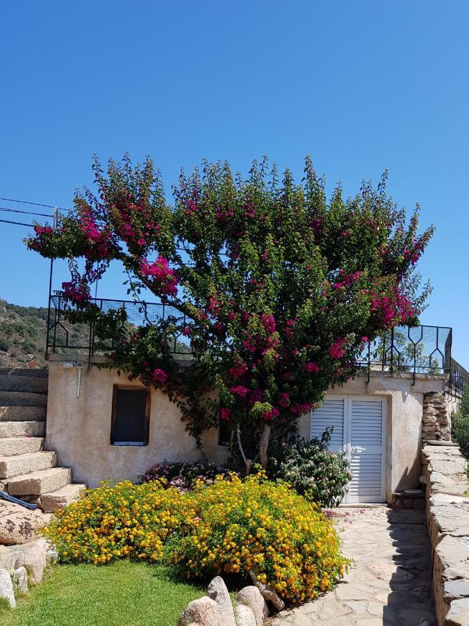 Sardinia Family Villas - Villa Carmen With Sea View And Pool Porto Cervo Exterior photo