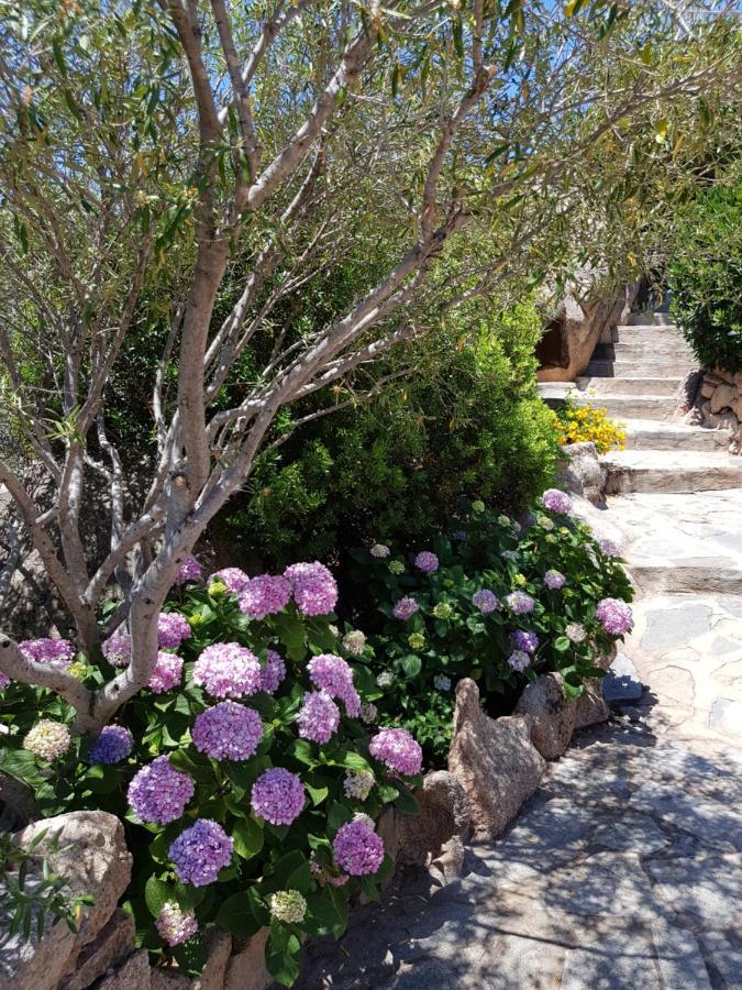 Sardinia Family Villas - Villa Carmen With Sea View And Pool Porto Cervo Exterior photo