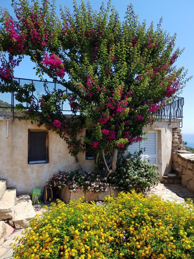 Sardinia Family Villas - Villa Carmen With Sea View And Pool Porto Cervo Exterior photo