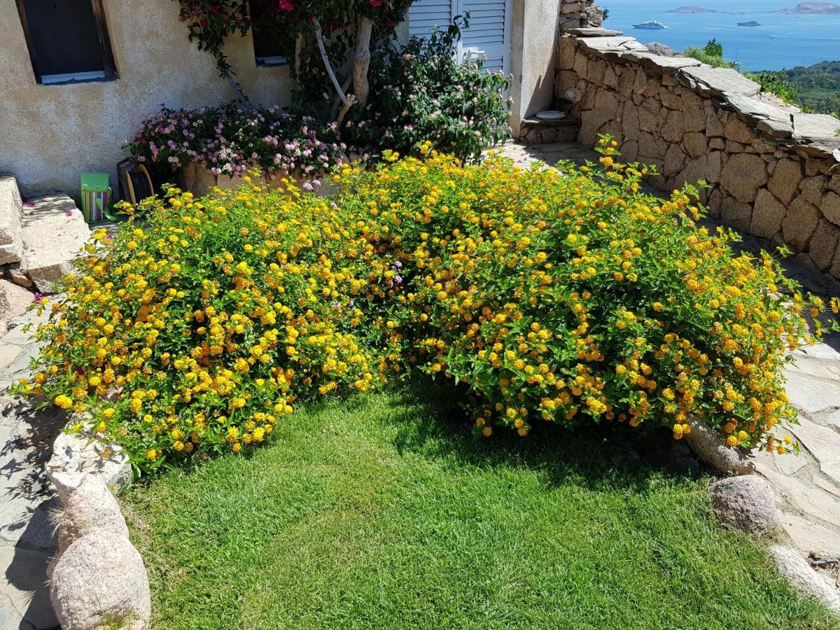 Sardinia Family Villas - Villa Carmen With Sea View And Pool Porto Cervo Exterior photo